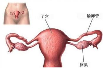 输卵管不通的检查