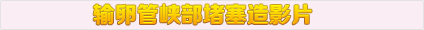 输卵管峡部堵塞造影片