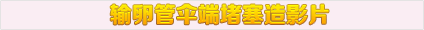 输卵管伞端堵塞造影片
